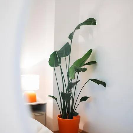 Hidden Tiny Near Center & The Mosel River Appartement *